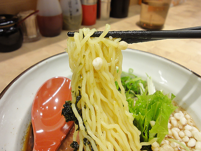 にぼしの麺