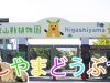 東山動物園の人気動物ランキング10代のちびっ子に人気はあの動物！
